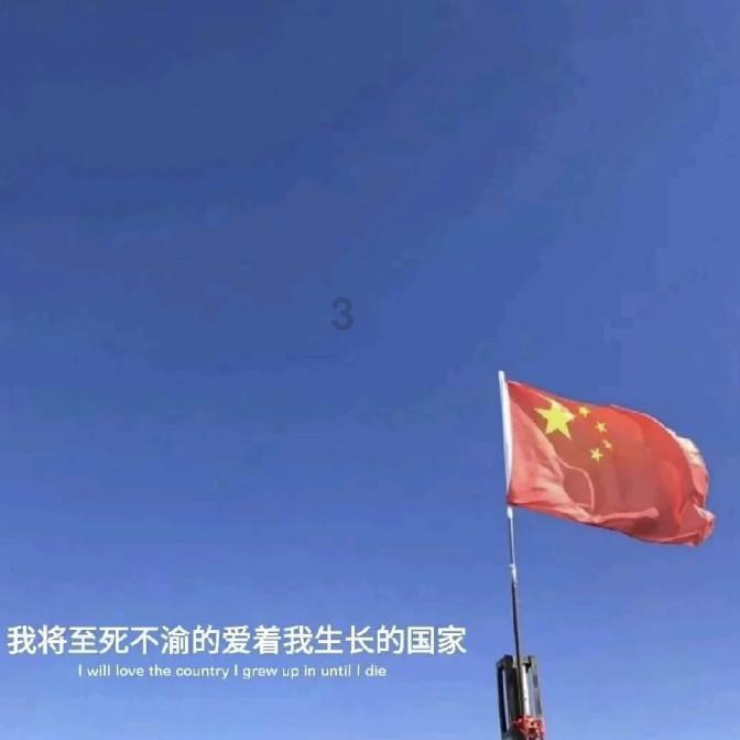 小乌龟逃亡记
